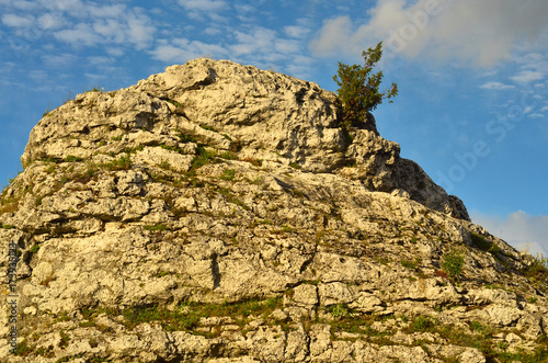 Góra Zborów - Jura