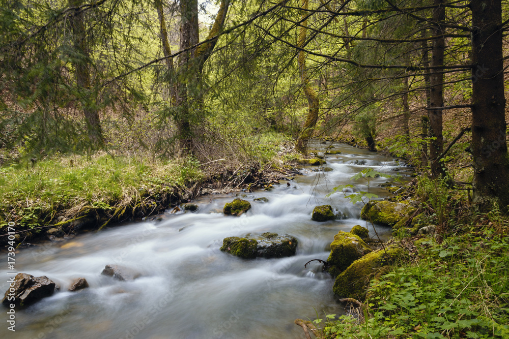 Long Exposure Of River In Ancient Forest Surrounded By Lush Vegetation During Autumn Long Exposure Of River In Ancient Forest Surrounded By Lush Vegetation During Autumn