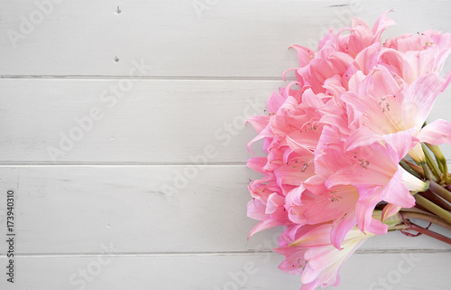 Ramos de Flores sobre madeira branca