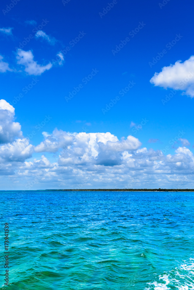 Fototapeta premium sandy sea beach