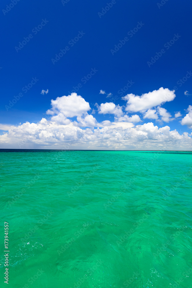 Obraz premium sandy sea beach