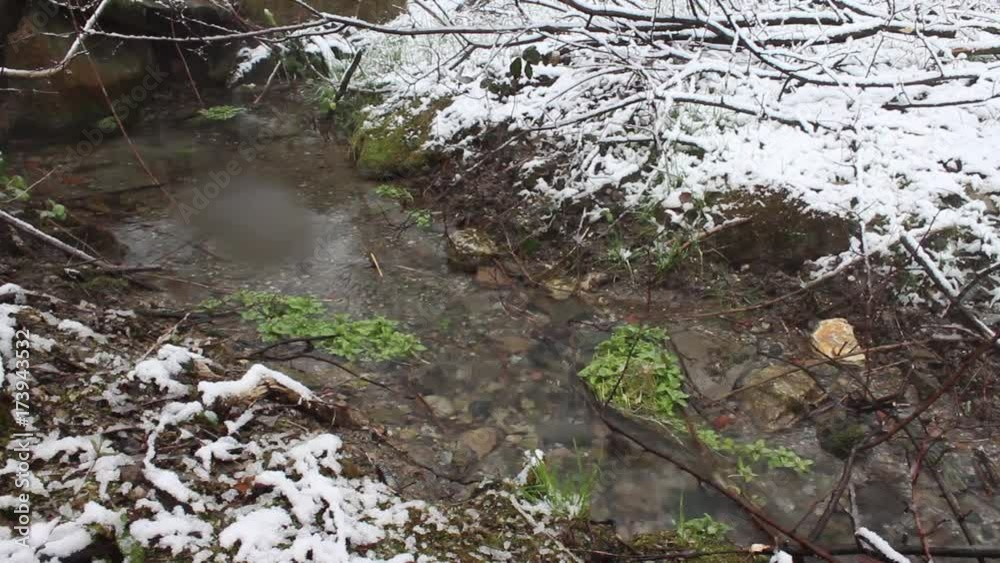 Fiocchi di neve nel bosco Fiocchi di neve nel bosco