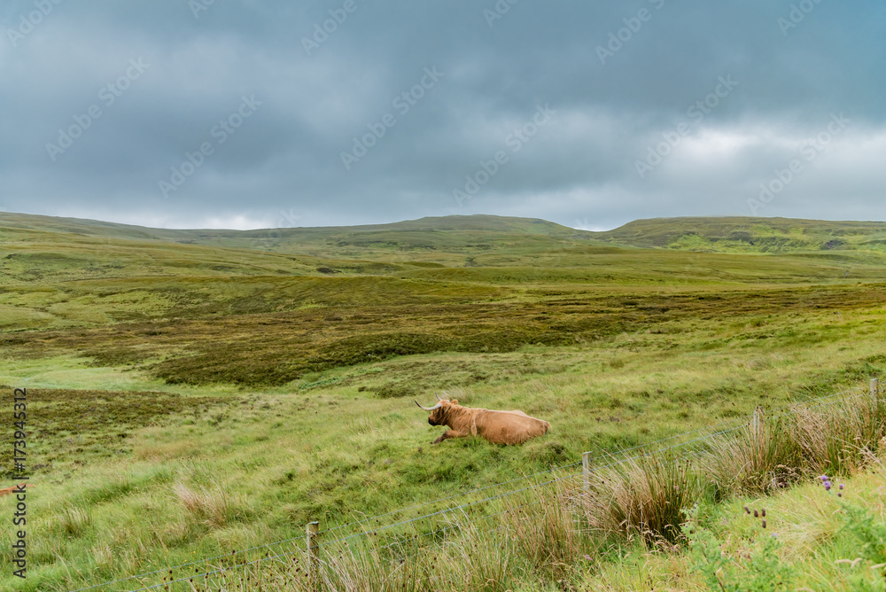 On the road, Isle of Skye, Scotland, United Kingdom