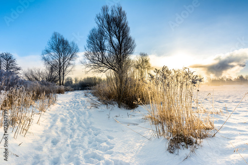 Scenic winter landscape with snow on path in the park, morning sun and blue sky, white christmas concept
