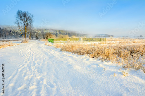 Scenic winter landscape with snow in countryside and blue sky, white christmas concept