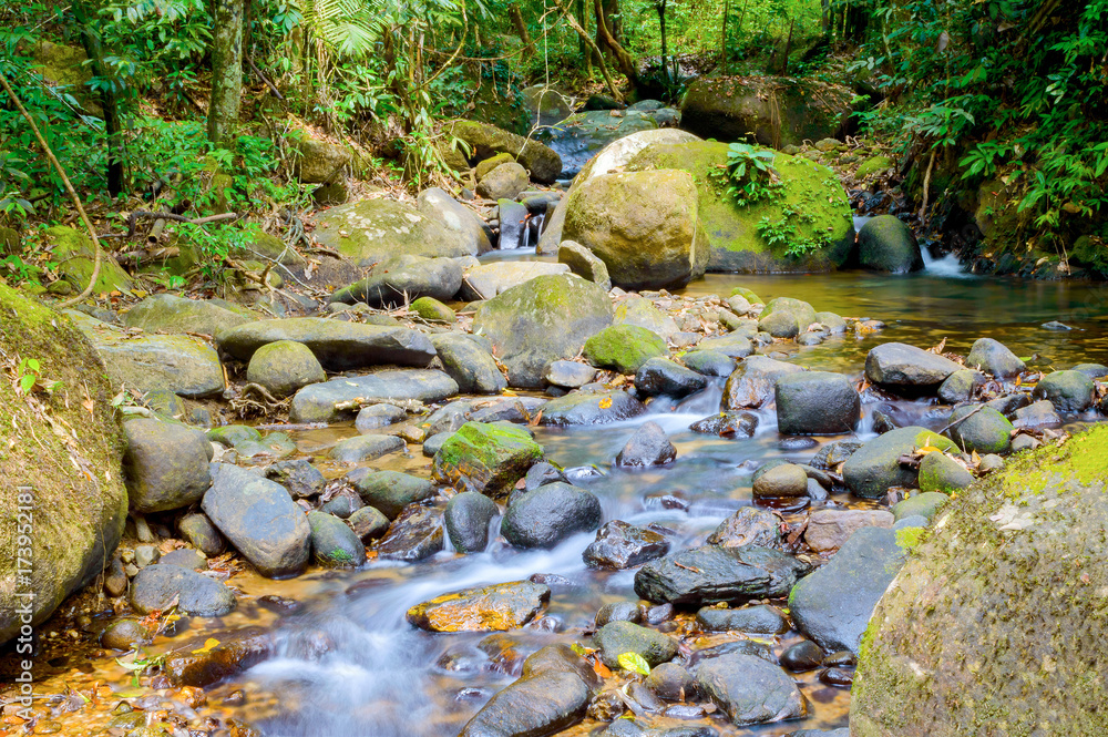 Stones in mountain river in forest. Stones in mountain river in forest.