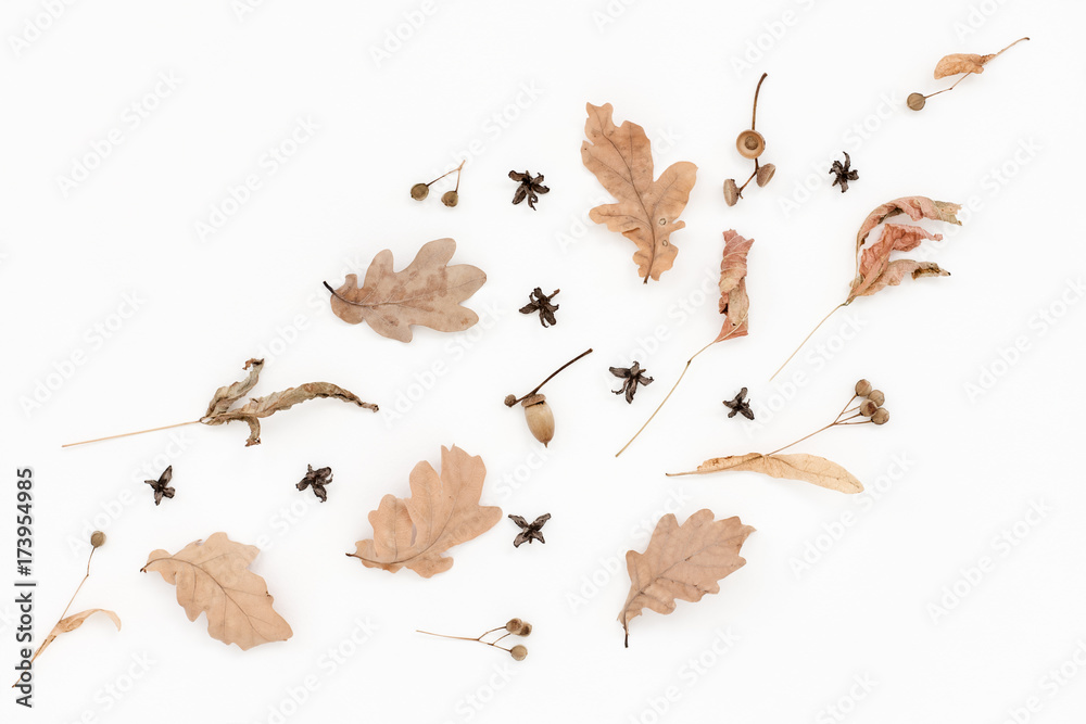 Plakat Ukośny jesienny blady wzór, suche liście dębu, żołędzie, wiatr na białym tle