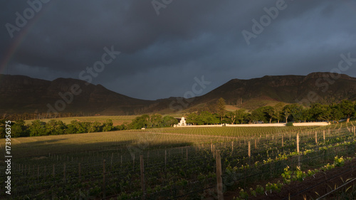 Groot Constantia photo