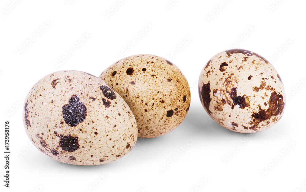 Obraz premium Quail egg on a white background