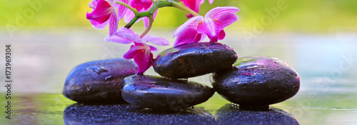 Black spa stones and pink orchids. Wellness background.