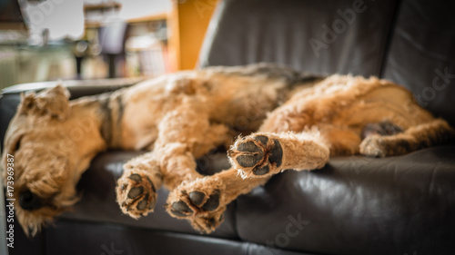 Tableau sur toile Footprint