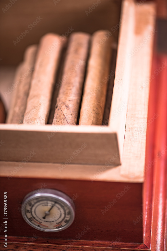 Obraz premium Wooden Cedr humidor, cigar storage