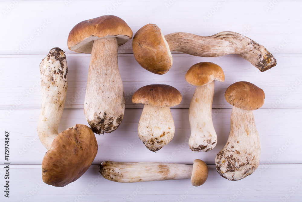 Composition with harvested wild porcini mushrooms on wooden background. Flat lay, top view Composition with harvested wild porcini mushrooms on wooden background. Flat lay, top view
