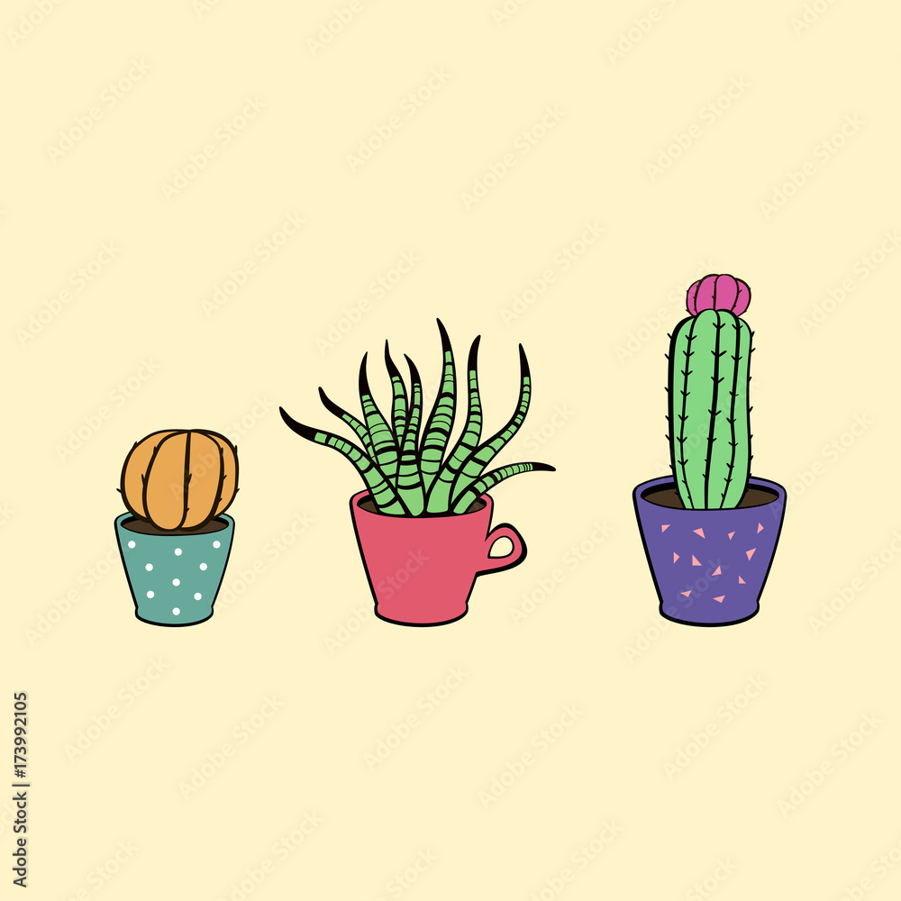 Cactus in the  pot. Succulent flower  in the mug. Cute hand drawn cacti home plant collection. Vector illustrations . Set of 3