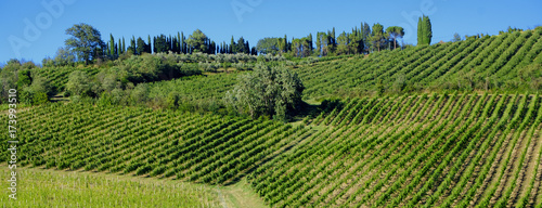 Landscape between Imola and Riolo Terme (Emilia Romagna)