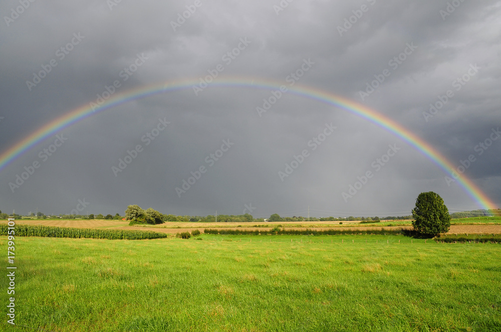 Naklejka premium Regenbogen
