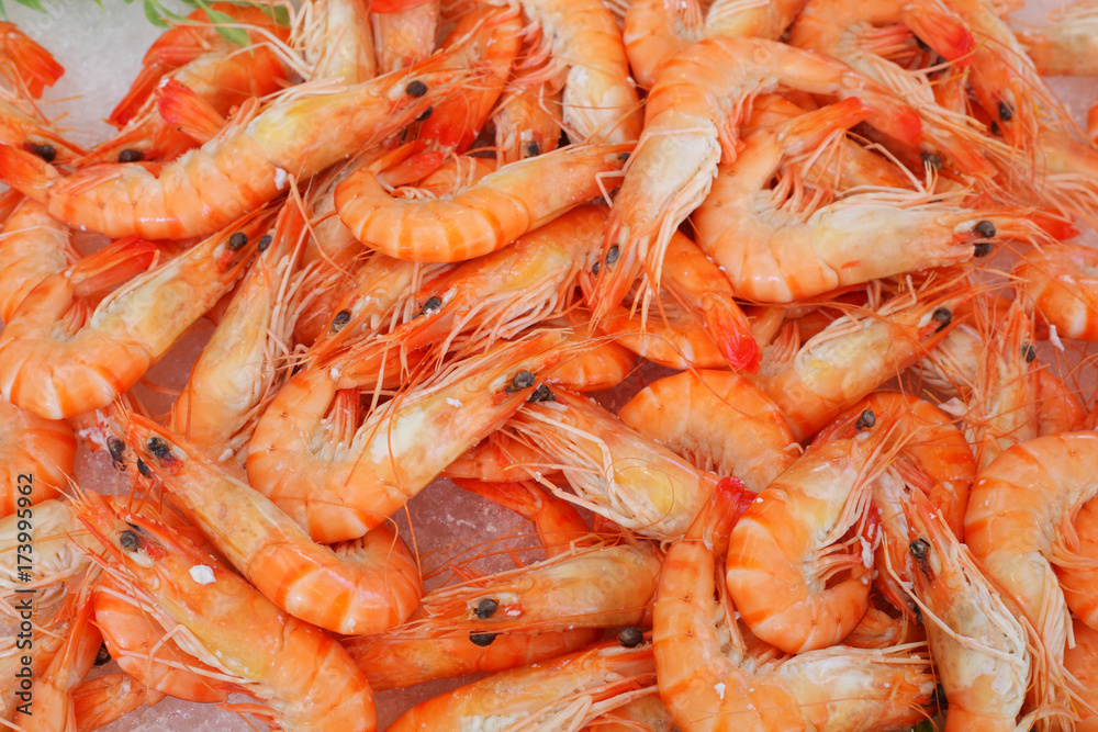 Many fresh shrimps Many fresh shrimps