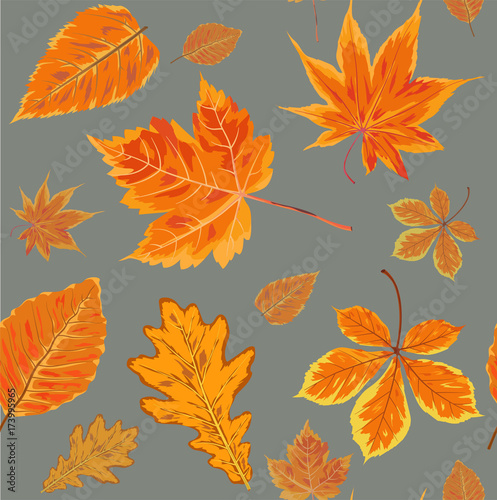 Vector Seamless Autumn fall season patten background floral watercolor style with colorful falling orange yellow leaves of forest maple oak tree. Decorative beautiful painted print on light gray