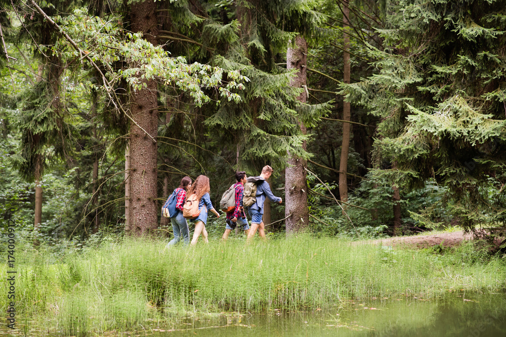 Fototapeta premium Teenagers with backpacks hiking in forest. Summer vacation.