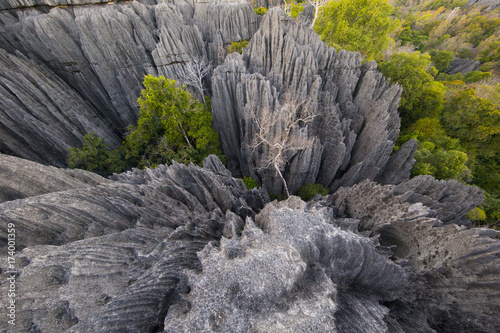 Kalksteinformation im Nationalpark Tsingy de Bemaraha photo