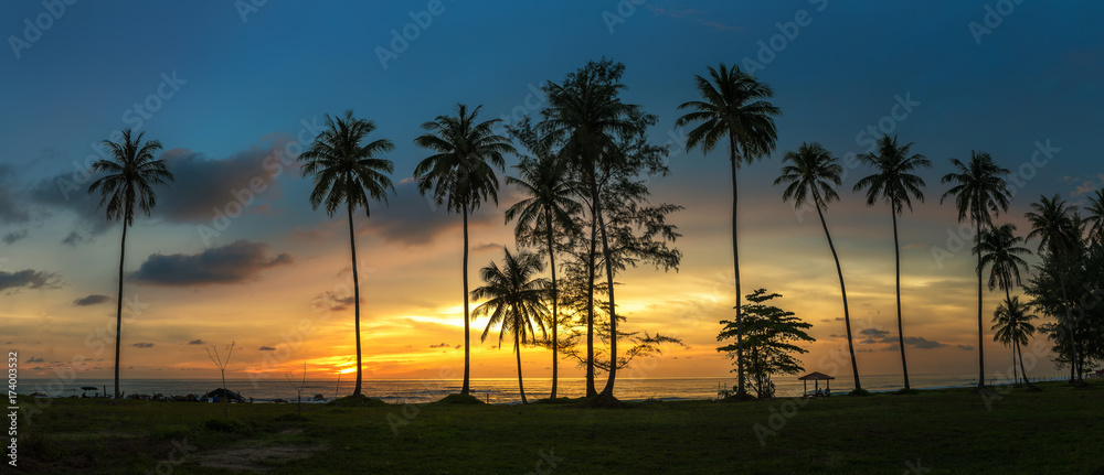 Coconut palms on the beach the evening panorama.