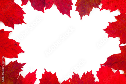 Border frame made of autumn leaves in full color