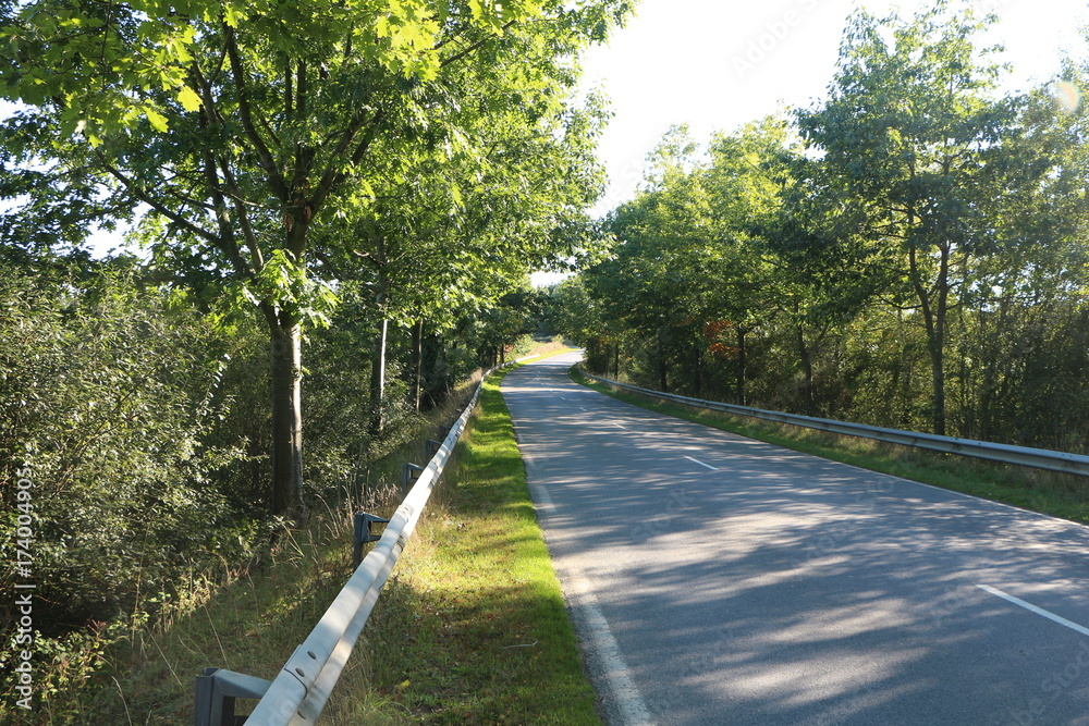 Fototapeta premium Road