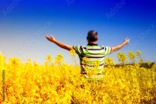 Man with hands wide open on sunny blue sky background.Man stands in golden canola field.Freedom concept.Rear view portrait of man with at standing at the canola fields with his hands wide open towards