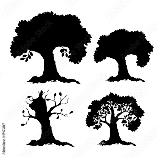 Silhouette of a tree season (winter, spring, summer, autumn), cartoon on a white background.