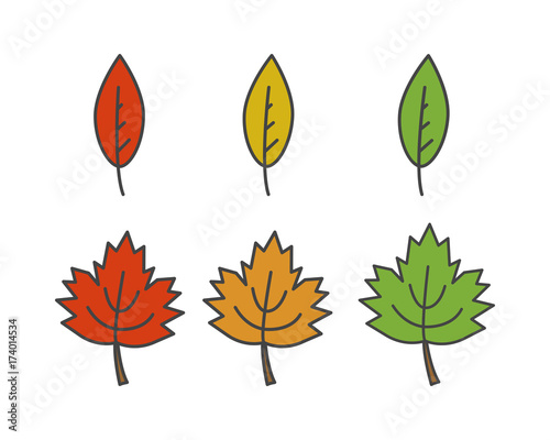 Colorful Leaves Flat Vector Icons Set