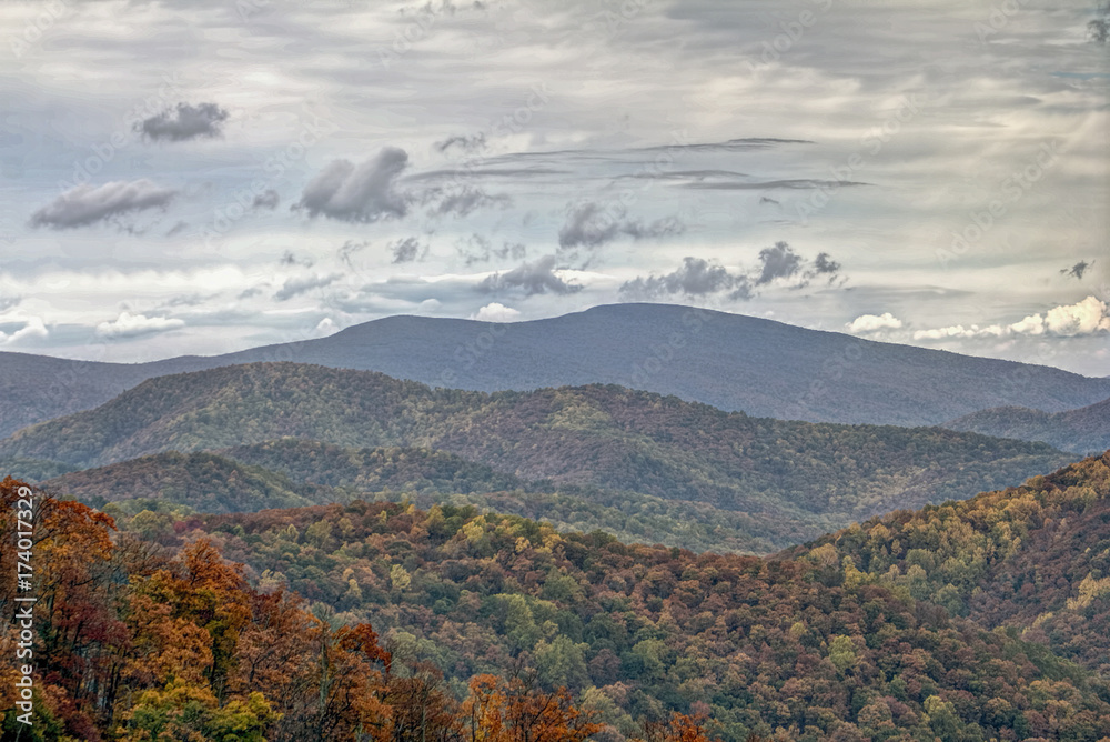 Colorful Autumn Foliage in Shenandoah Valley