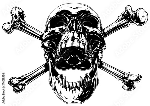 Graphic realistic human skull with crossed bones