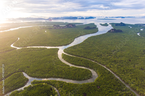 Amazing mangrove forest with beautiful sunlight at Phang-Nga bay, Thialand