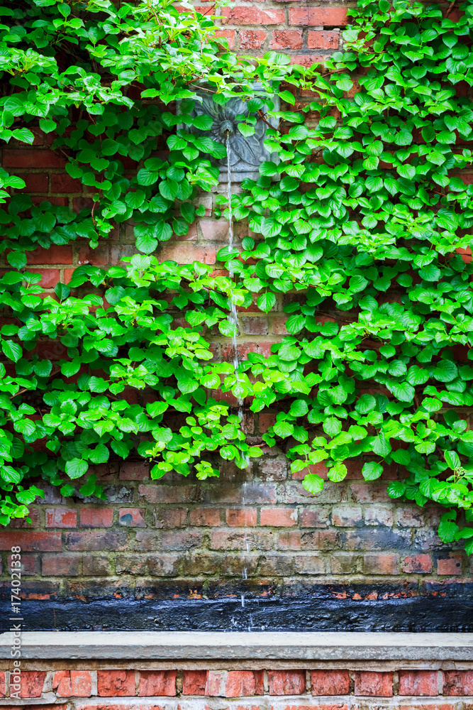 Water Feature Brick Wall Water Feature Brick Wall