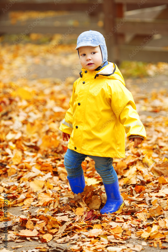 Little boy on background of autumn park. Child with a maple leaf. Fall scene. Little boy on background of autumn park. Child with a maple leaf. Fall scene.