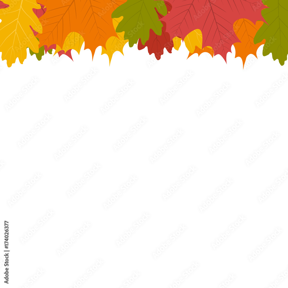 Autumn leaf on a white background Autumn leaf on a white background