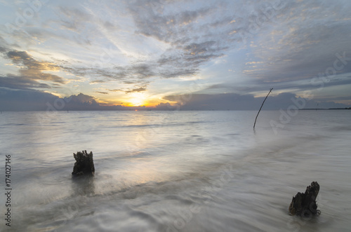 Beautiful and calm beach with dead mangroves during sunset photo