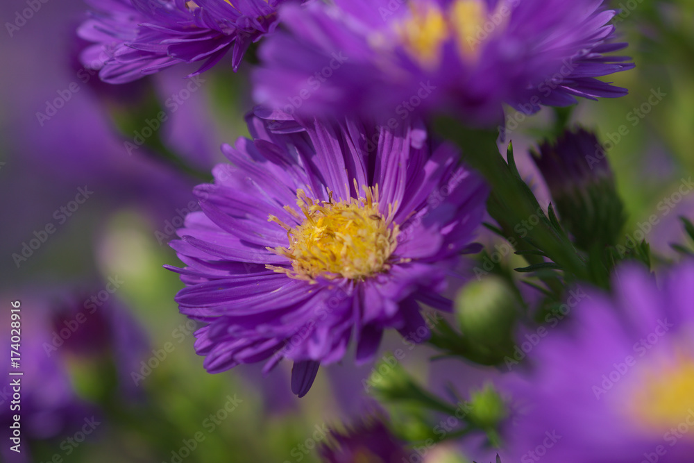 Obraz premium Feinstrahlaster