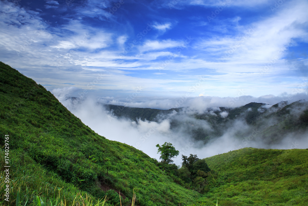 Beautiful mountain landscape, with mountain peaks covered with forest and a cloudy sky. Beautiful mountain landscape, with mountain peaks covered with forest and a cloudy sky.