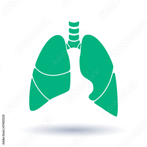 Vector silhouette medical illustration of human body organ - lungs with trachea. Logo template for clinic, hospital. Symbol for asthma, tuberculosis, pneumonia. Health care of respiratory system.
