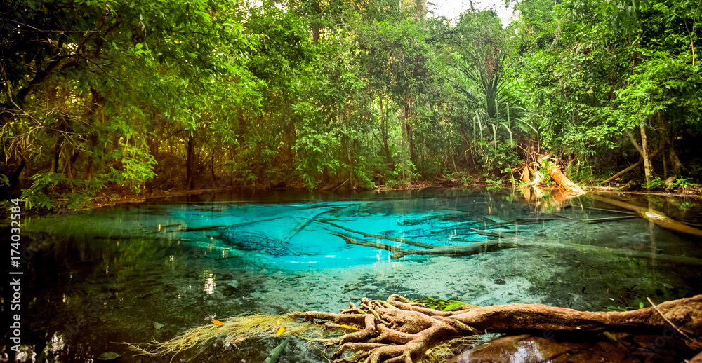 Naklejka premium Emerald Pool or Tha Pom Klong Song Nam at Krabi Province, Thailand. Amazing crystal clear emerald canal with mangrove forest. Beautiful nature landscape. Travel, holidays, recreation concept