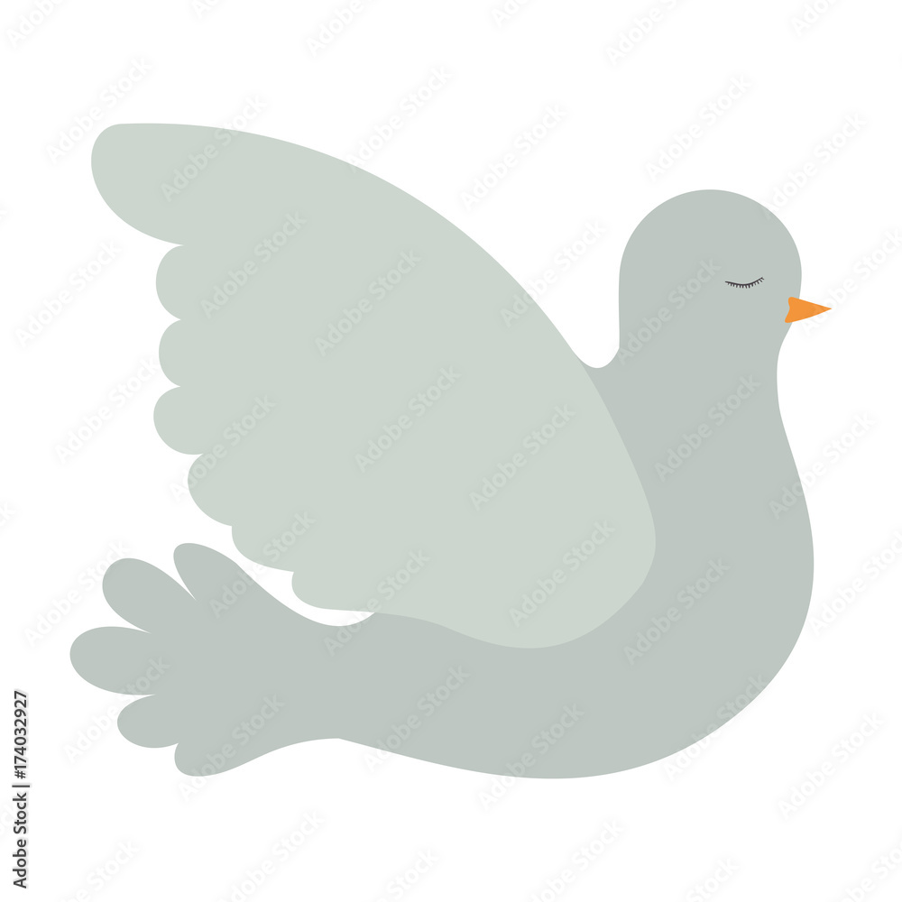 pigeon peace side view on colorful silhouette pigeon peace side view on colorful silhouette