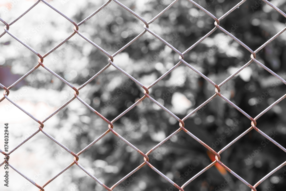 Fototapeta premium Chain link Fence