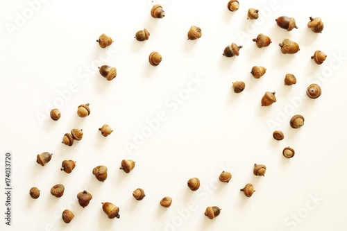Autumn composition. Frame of acorns on white background. Flat lay, top view, copy space