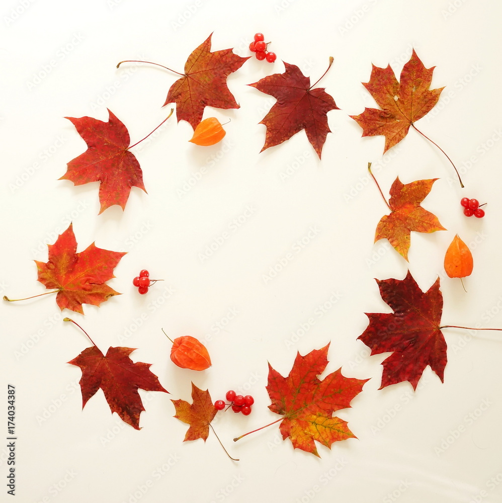 Autumn composition. Frame of autumn leaves, acorn, pine cones on white background. Flat lay, top view, copy space Autumn composition. Frame of autumn leaves, acorn, pine cones on white background. Flat lay, top view, copy space