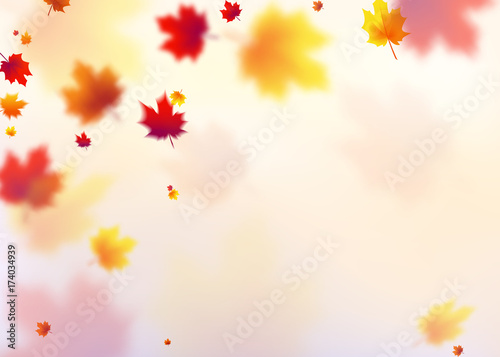 Vector illustration autumn flying red  orange  brown  yellow maple leaves