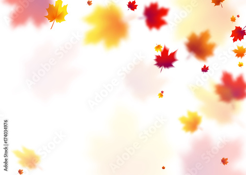 Vector illustration autumn flying red  orange  brown  yellow maple leaves