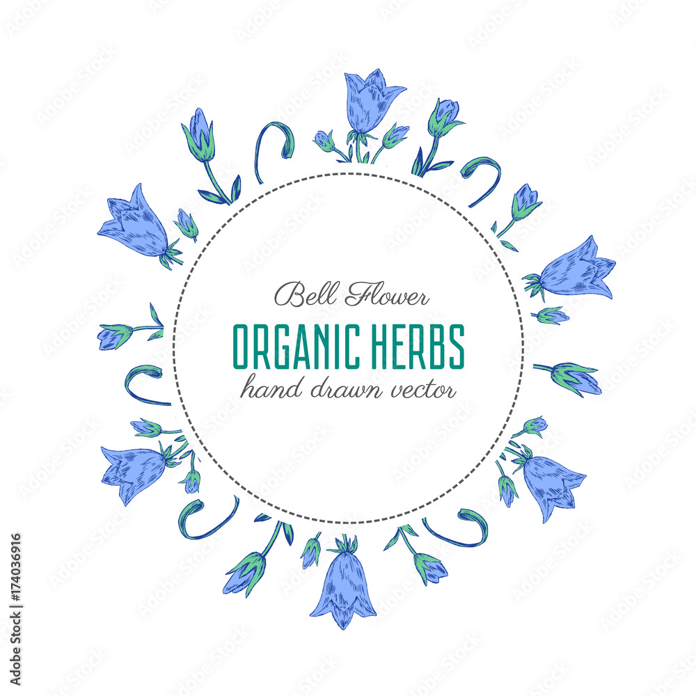 Bell flower vector engraving sketch hand drawn isolated on white background, Round floral frame, decorative wreath for design card, packaging cosmetic, herbal tea, healthy magazine, label florist shop