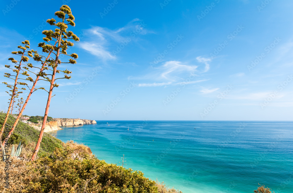 view on atlantic ocean in Algarve, Portugal
