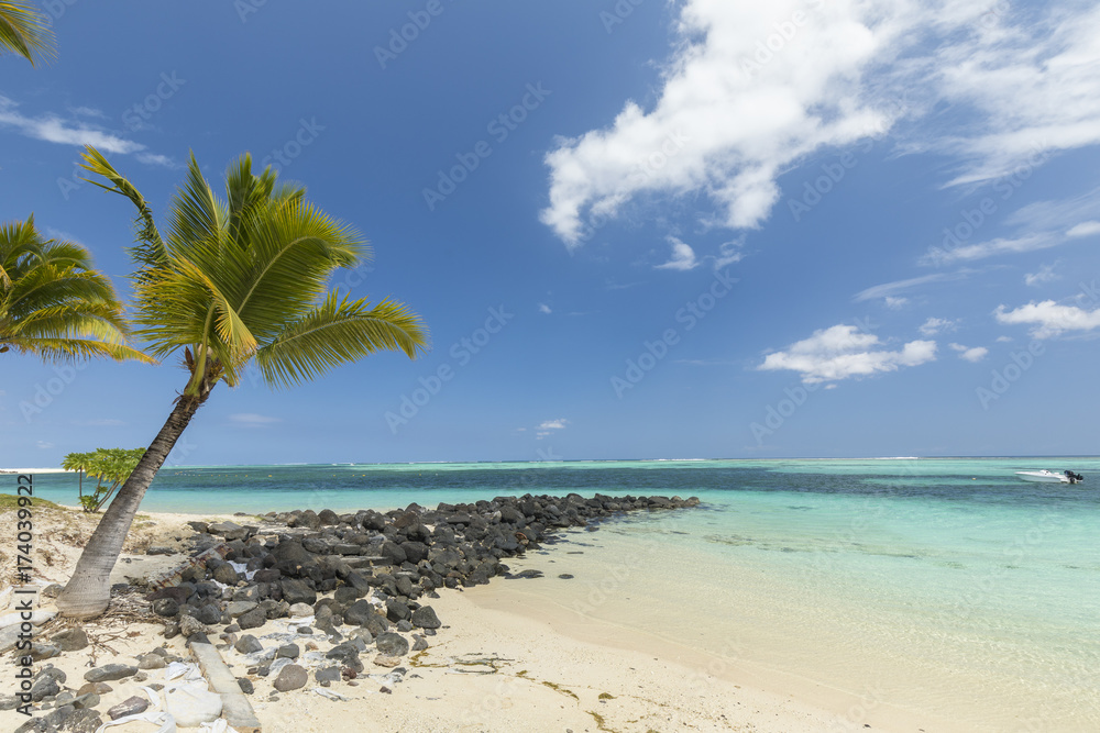 White sandy beach, coconut trees and clear blue water in Le Morne, Mauritius